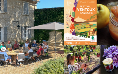 Festival Ventoux Saveurs 2024 : 100 animations gourmandes et culturelles tout autour du Ventoux