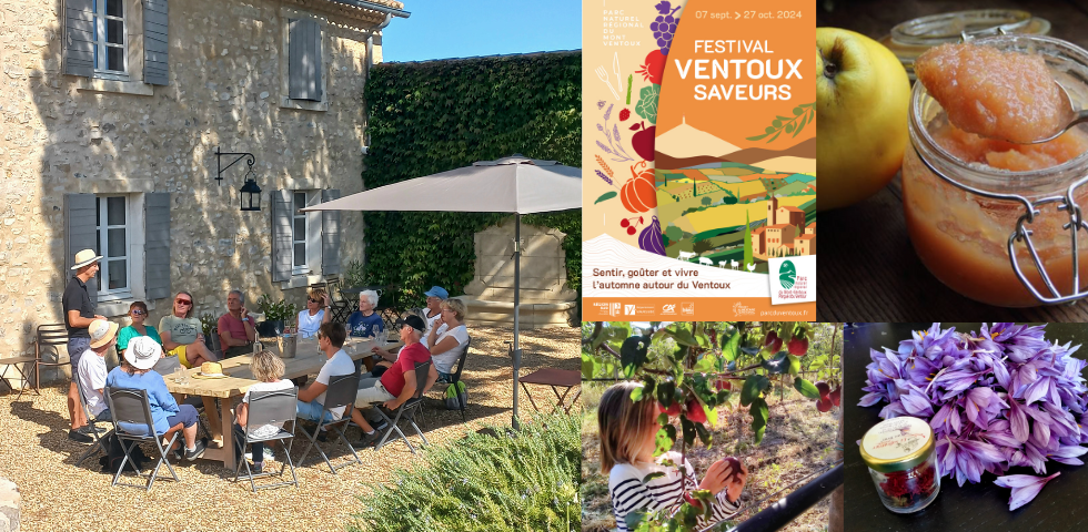 Festival Ventoux Saveurs 2024 : 100 animations gourmandes et culturelles tout autour du Ventoux